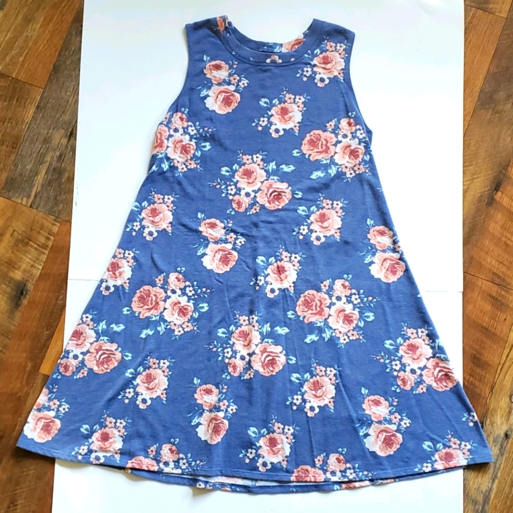 Stitch Fix Floral Sleeveless Midi Dress - Blue and Pink